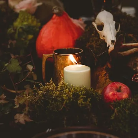 Hotel Loma-paksu Köngäs