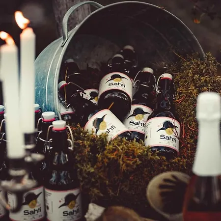 Hotel Loma-paksu Köngäs