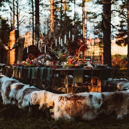 Loma-paksu Hotel Köngäs