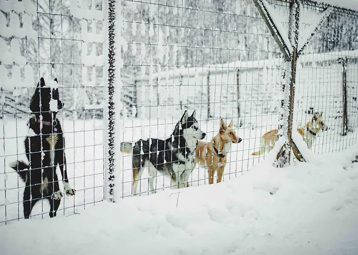 מלון Loma-paksu *